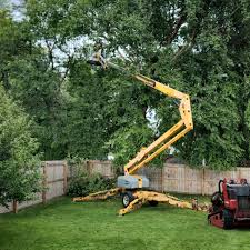 Best Arborist Consultation Services  in Nazareth College, NY