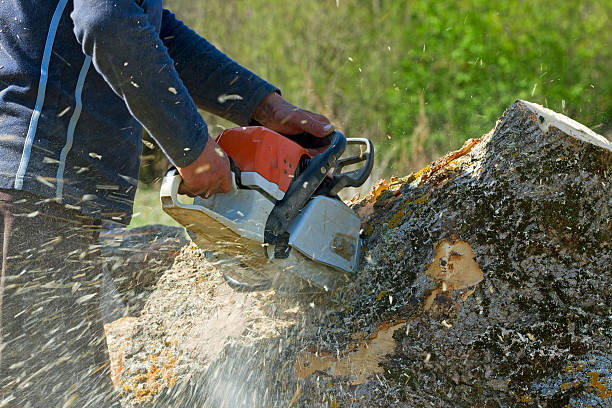 Best Aeration Services  in Nazareth College, NY